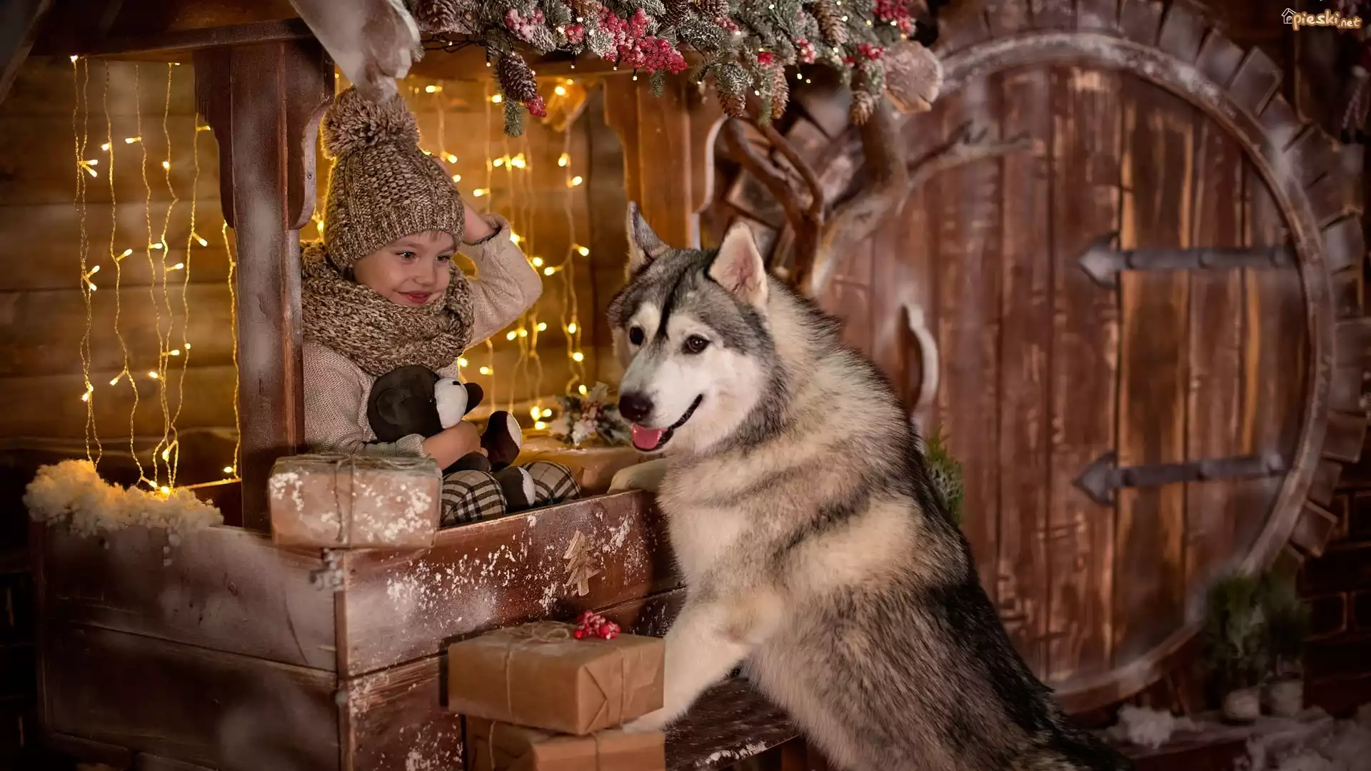 Dziecko, Pies, Siberian husky, Świątecznie, Światełka