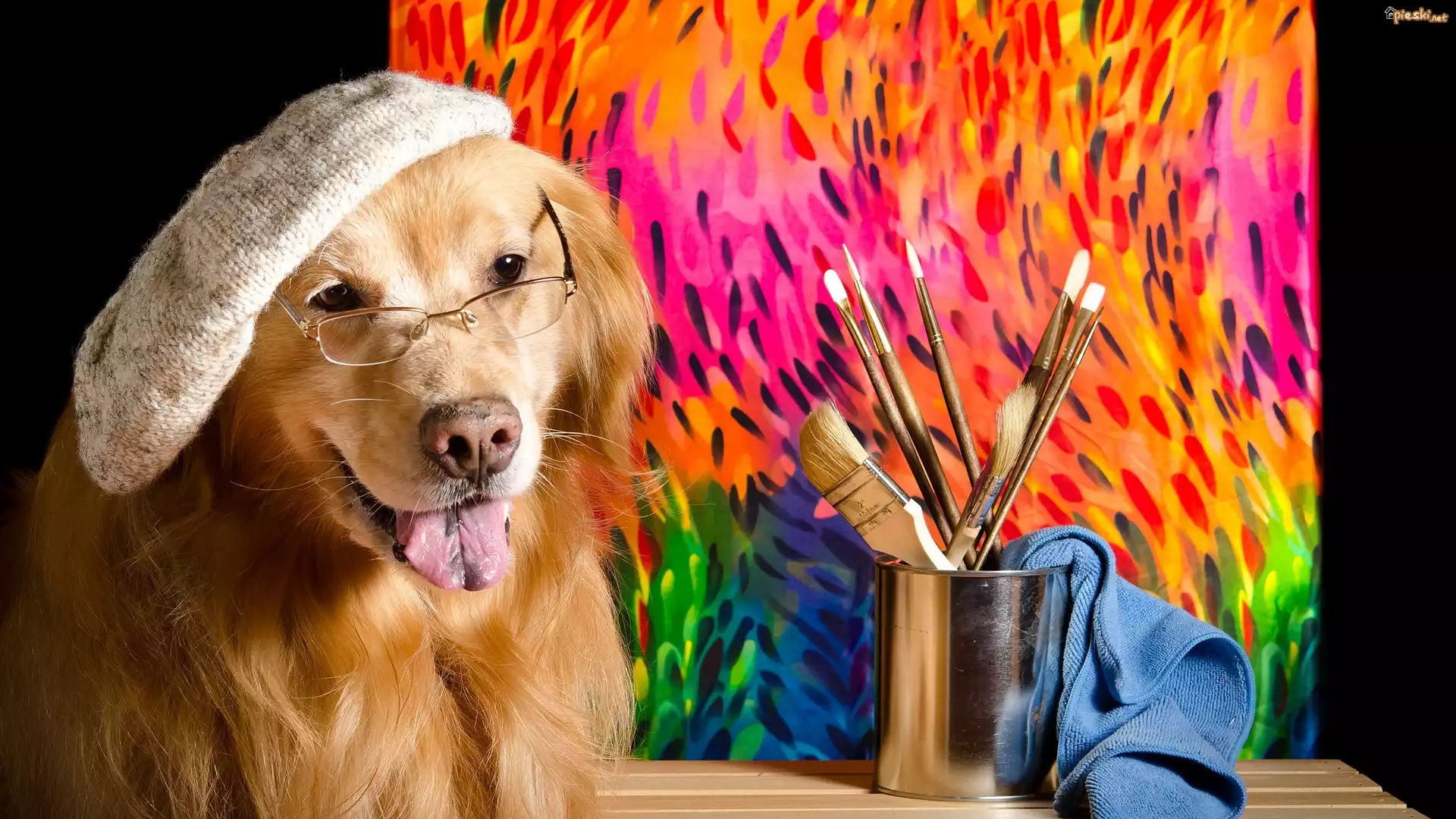 Pies, Golden retriever, Czapka, Okulary, Pędzelki, Kubek, Szmatka, Obraz