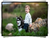 Chłopiec, Siberian husky, Kamień