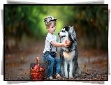 Chłopiec, Pies, Siberian husky, Koszyk, Owoce, Droga, Las