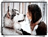 Pies, Husky, Kobieta, Śnieg
