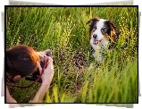 Pies, Trawa, Fotograf, Aparat