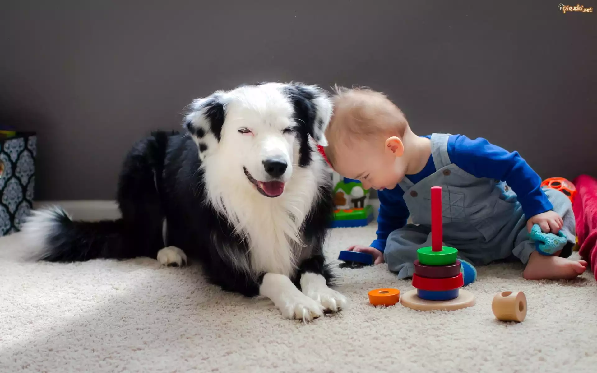 Dziecko, Pies, Zabawki, Przyjaciele