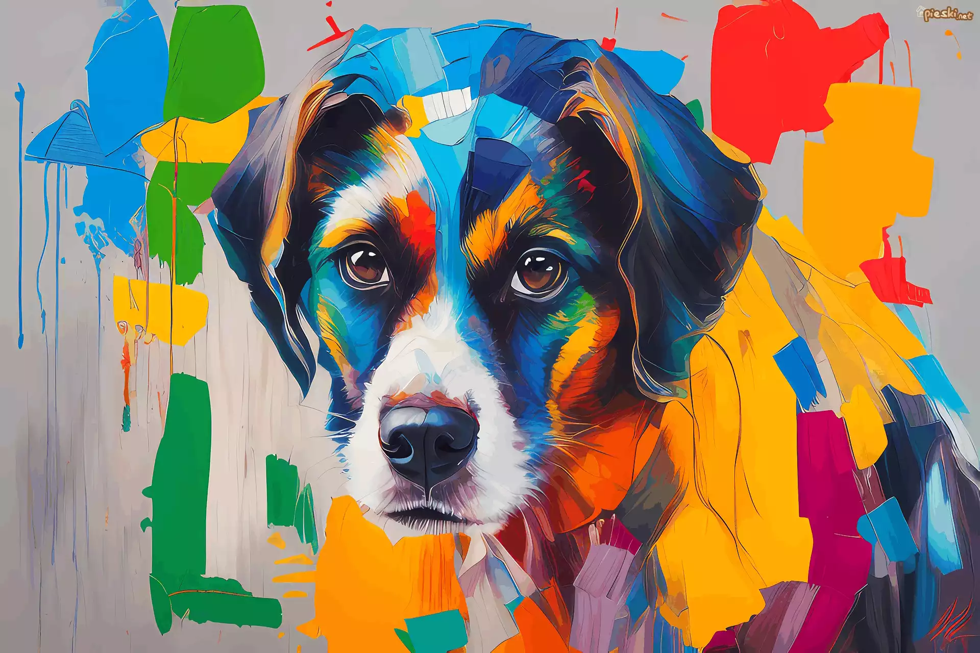 Pies, Kolorowa, Grafika