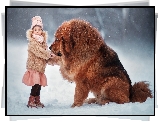 Dziewczynka, Pies, Mastif tybetański, Zima, Śnieg