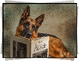 Pies, Owczarek niemiecki, Książka