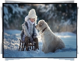 Chłopiec, Zima, Sanki, Pies, Golden retriever, Śnieg