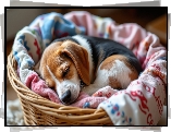 Pies, Beagle, Szczeniak, Koszyk