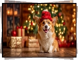 Pies, Welsh corgi pembroke, Czerwona, Czapka, Prezenty, Choinka