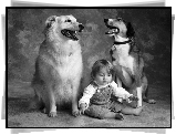 Psy, Dziecko, Fotografia