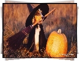 Czarownica, Halloween,  Owczarek australijski-australian shepherd