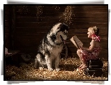 Pies, Alaskan Malamute, Dziewczynka, Książka