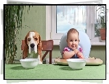 Dziecko, Pies, Beagle, Jedzenie, Śmieszne